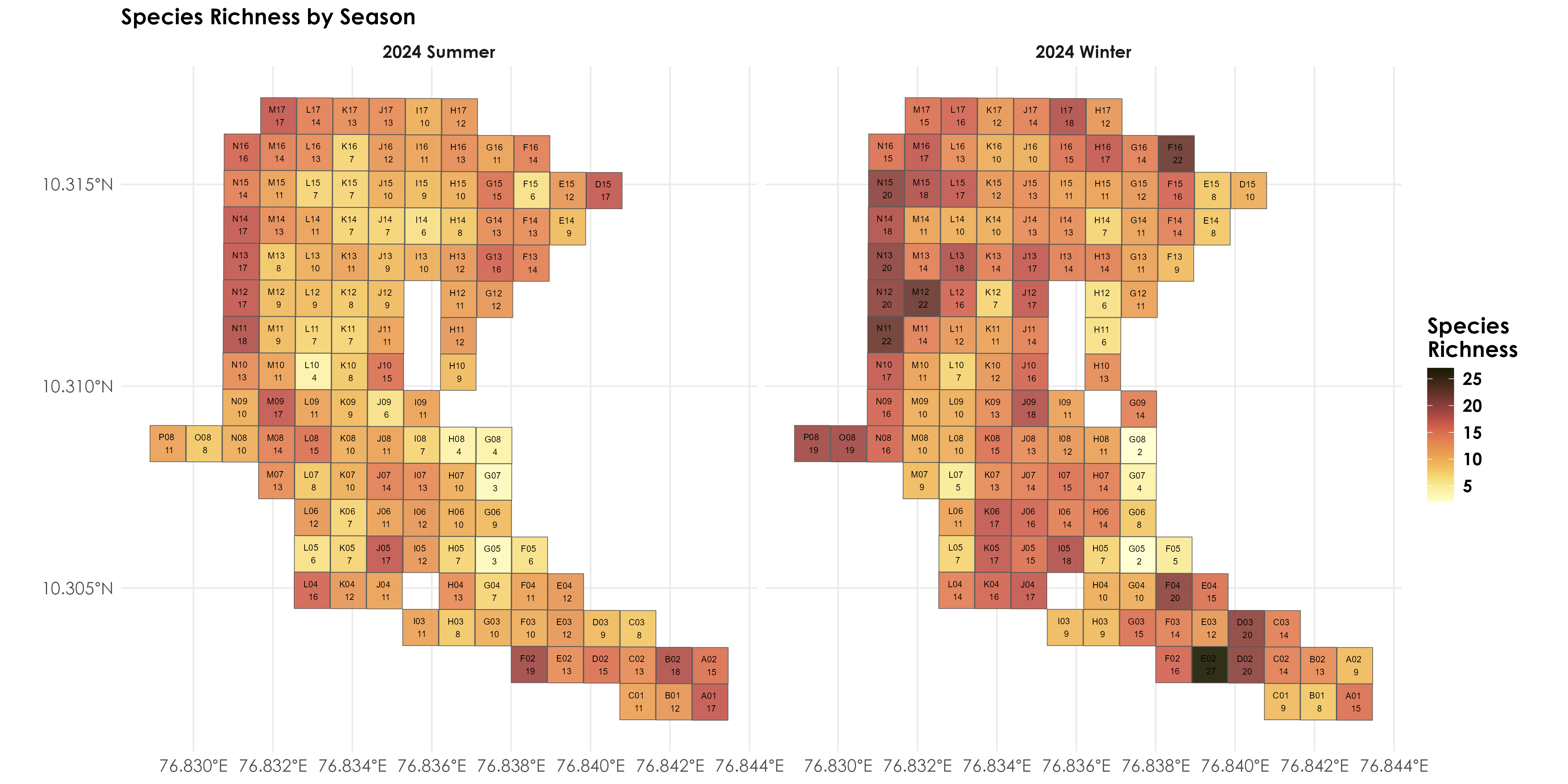 Species richness by season